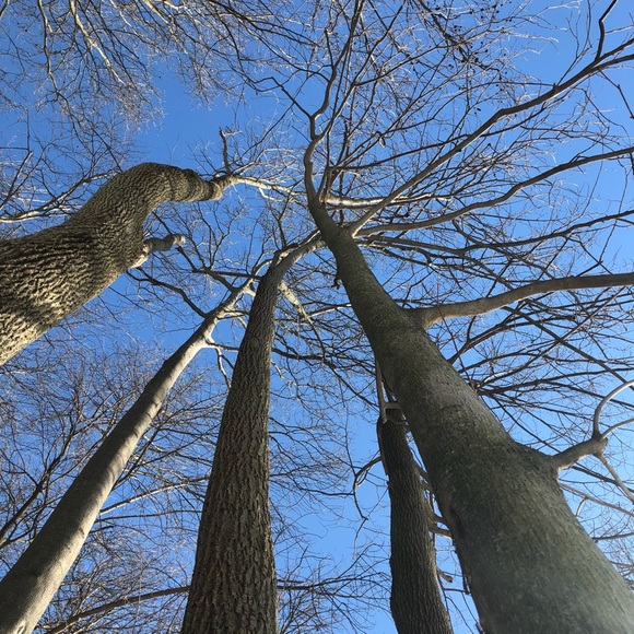 Meet your Posher, Kimberly - Picture 2 of 7